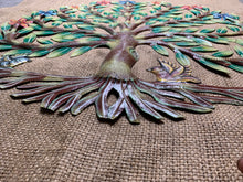 two birds at the bottom of a tree