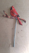 Cardinal Plant Stake