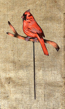 Cardinal Plant Stake